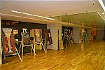 Biblioteca Națională Noiembrie - Decembrie 2013