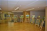 Biblioteca Națională Noiembrie - Decembrie 2013