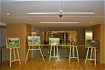Biblioteca Națională Noiembrie - Decembrie 2013