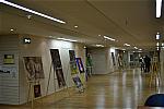 Biblioteca Națională Noiembrie - Decembrie 2013